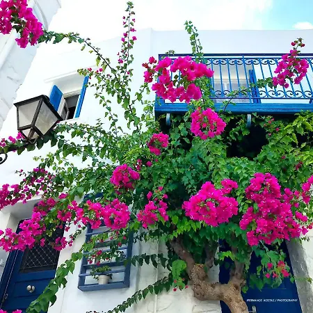 Nyaraló Next To The Bougainvillea!