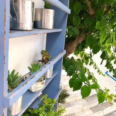 Next To The Bougainvillea! Nyaraló