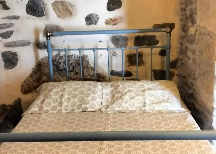 Next To The Bougainvillea! אנו סירוס