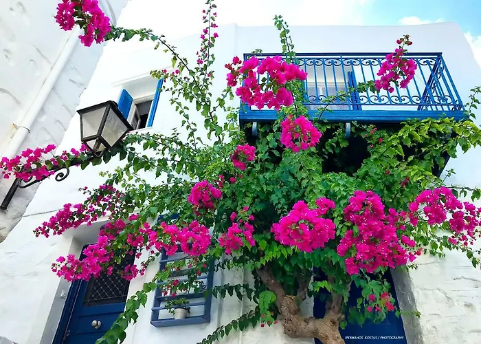 בית נופש Next To The Bougainvillea!