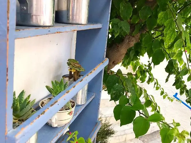 Next To The Bougainvillea! בית נופש